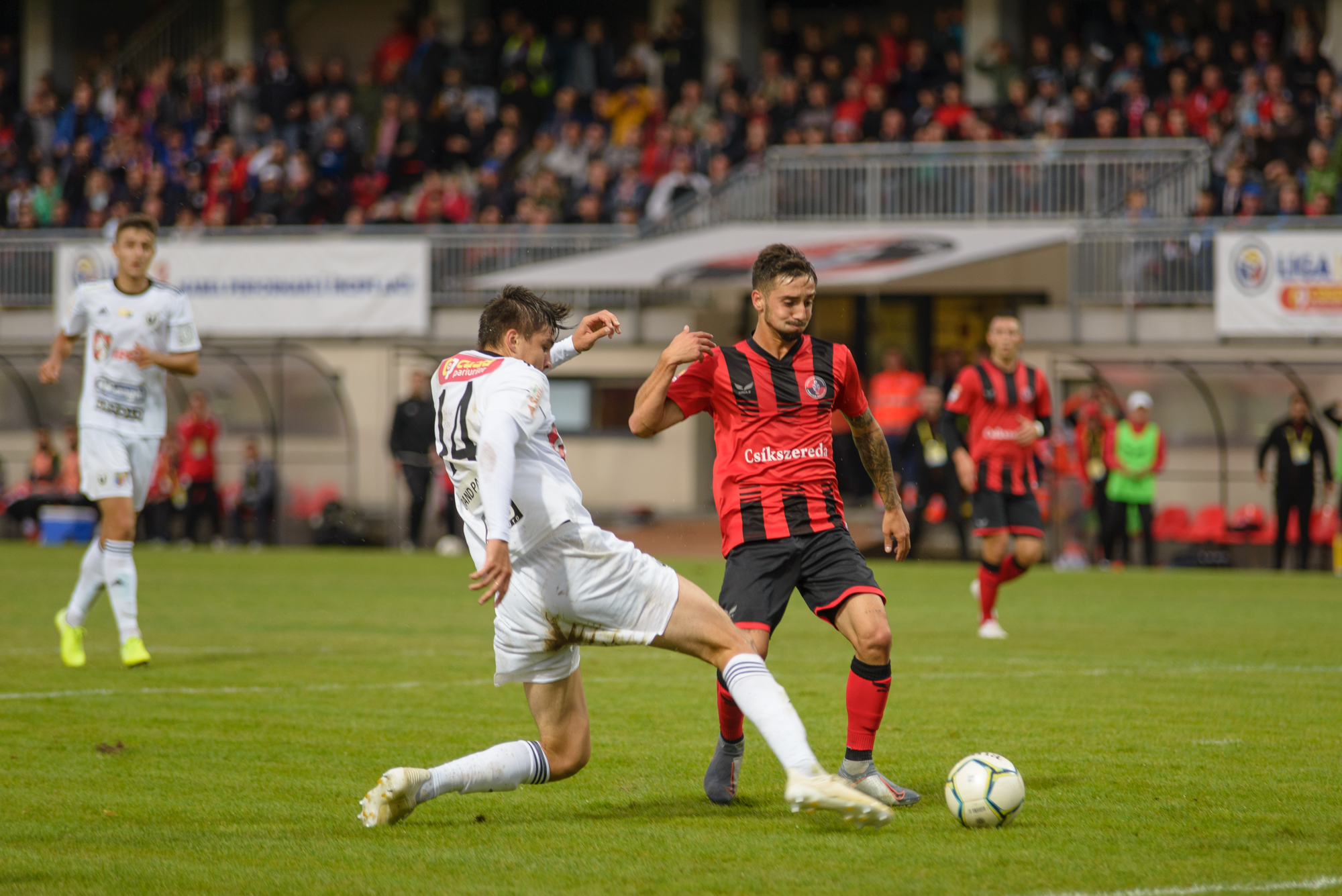 2019: KOLOZSVÁRON IS NYERTÜNK!