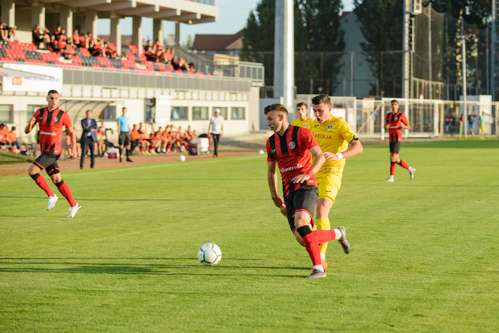 Őszi visszatekintő III