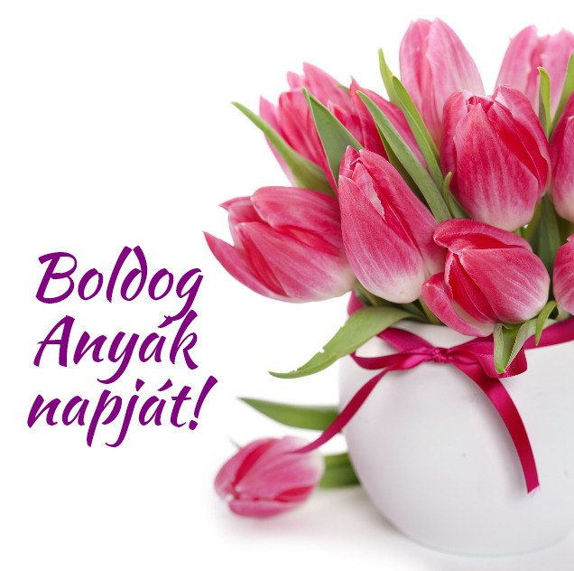 Boldog Anyák napját!